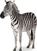 Zebra Lifesize Standup