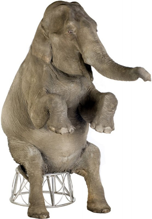 Asian Elephant Lifesize Standup