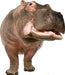 Hippopotamus Lifesize Standup