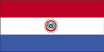 Paraguay Flag with Stick | 4" x 6"