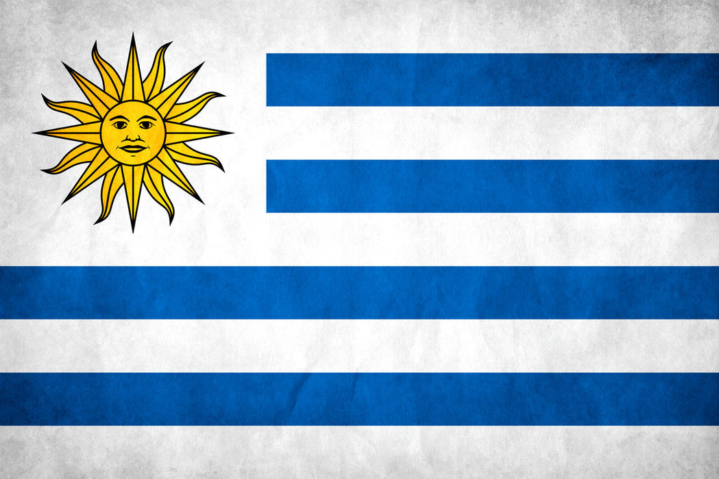 Uruguay Flag with Stick | 4" x 6"