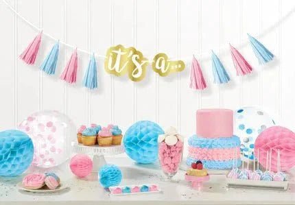 Gender Reveal - Zurchers