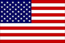 United States of America Flag 5' x 3' | 1 ct - Zurchers