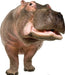 Hippopotamus Lifesize Standup *Made to order-please allow 10-14 days for processing*