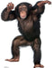 Young Chimpanzee Lifesize Standup *Made to order-please allow 10-14 days for processing*