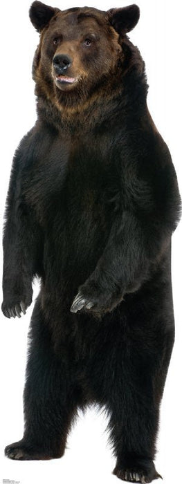 Brown Bear Lifesize Standup *Made to order-please allow 10-14 days for processing*