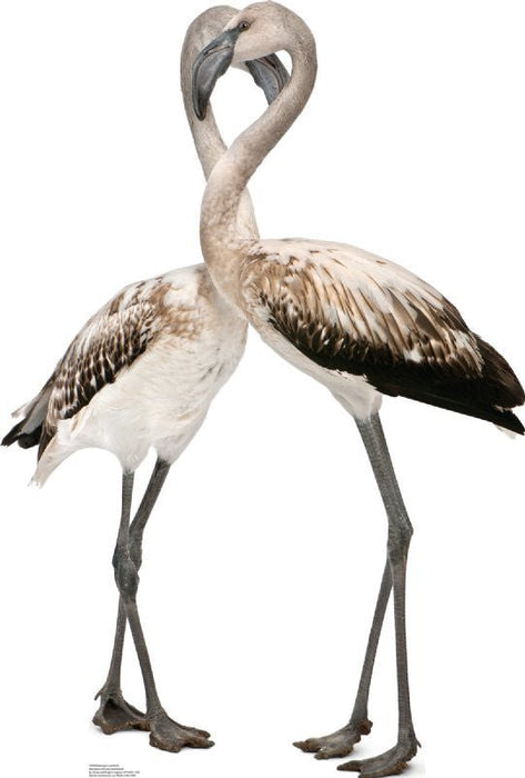 Flamingos - Lovebirds Lifesize Standup *Made to order-please allow 10-14 days for processing*