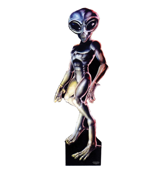 Roswell Alien - Male Lifesize Standup *Made to order - please allow 10 - 14 days for processing* - Zurchers