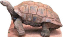 Tortoise Lifesize Standup *Made to order - please allow 10 - 14 days for processing* - Zurchers