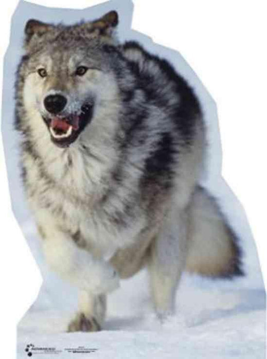 Wolf Lifesize Standup - *Made to order* please allow 10 - 14 days for delivery - Zurchers