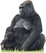 Gorilla Mom and Child Lifesize Standup *Made to order - please allow 10 - 14 days for processing* - Zurchers