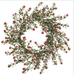 14" Snowed Berry Wreath Red | 1ct - Zurchers