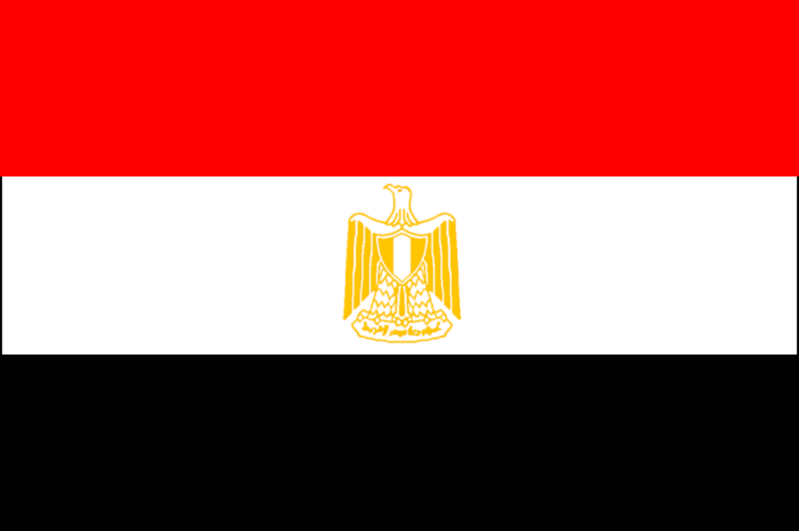 Egypt Flag 5' x 3' | 1 ct