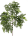 23" Juniper Spray  Green | 1ct - Zurchers