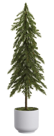 23" Pine Tree in Plastic Pot  Green | 1ct - Zurchers