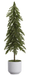23" Pine Tree in Plastic Pot  Green | 1ct - Zurchers