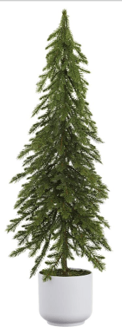 28" Pine Tree in Plastic Pot  Green | 1ct - Zurchers