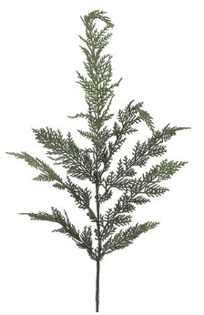 30" Cedar Spray Green | 1ct - Zurchers
