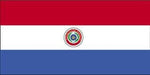 Paraguay Flag with Stick | 4" x 6"