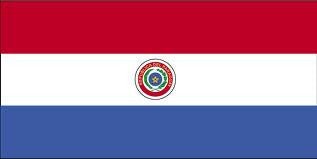 Paraguay Flag with Stick | 4" x 6"