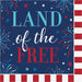 4th Of July Freedom Fireworks Lunch Napkins | 16ct - Zurchers
