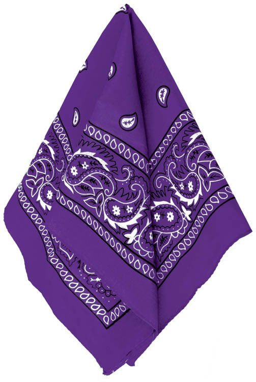 Purple Bandana | 20"x20" 1ct. - Zurchers