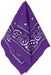 Purple Bandana | 20"x20" 1ct. - Zurchers