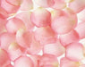 Pink Fabric Rose Petals | 400 ct - Zurchers