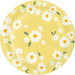 Sweet Daisy Paper Plate 9" | 8 ct - Zurchers