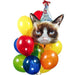 Happy Birthday Grumpy Cat Bouquet | 13 pcs - Zurchers