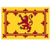 A yellow flag with a red lion standing upright and facing left, surrounded by a red double border with fleur-de-lis in each corner and at the center of each side.