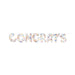 Air-Filled "Congrats" Clear Confetti Balloon Banner Kit, 10' | 1 ct