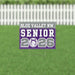 Blu Vlly NW KS 2026 Senior Yard Sign | 1ct - Zurchers