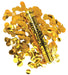 Celebration Confetti Cannon Gold 12" | 1ct - Zurchers