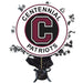 Centennial High School Centerpiece Spray 14" | 1 ct - Zurchers