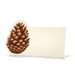 Christmas Pinecone Place Card | 12 ct - Zurchers