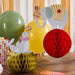 Circus Carnival Honeycomb Decorations Elephant & Seal | 2ct - Zurchers