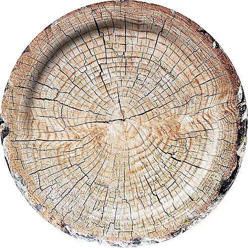 Cut Timber 10in Paper Plates 8pk | 1ct - Zurchers