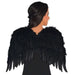 Adult Black Feathered Wings | 1 ct - Zurchers