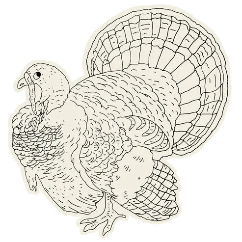 Thanksgiving Turkey Coloring Placemats 12 sheets | 1 ct - Zurchers