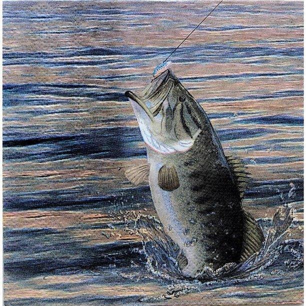 Gone Fishin Luncheon Napkins 16pk | 1ct - Zurchers