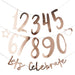 Create Your Own Rose Gold Let’s Celebrate Number Banner | 1ct - Zurchers