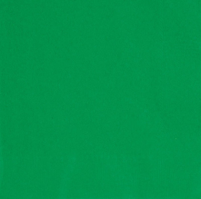 Emerald Green Beverage Napkins | 100ct - Zurchers