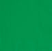 Emerald Green Beverage Napkins | 100ct - Zurchers
