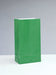 Green Paper Bag - Party Supplies