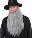 Grey Plush Beard & Moustache | 1ct - Zurchers