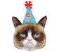 Grumpy Cat Birthday Supershape Mylar Balloon 36" | 1 ct - Zurchers