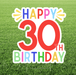 Happy 30th Birthday sign with colorful text on a grass background