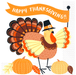 Happy Thanksgiving Turkey Luncheon Napkins | 1ct - Zurchers