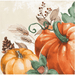 Harvest Delight - Beverage Napkin 2 Ply 16 Ct - Zurchers